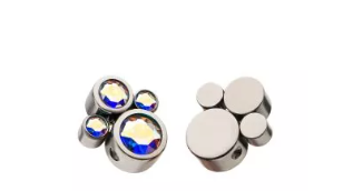 Titanium Aurora Borealis Gemstone Paw Internally Threaded 16G