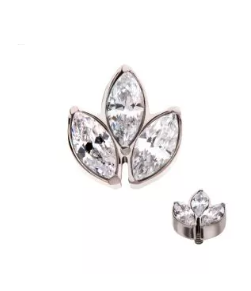 Titanium CZ Gemstone Cluster Internally Threaded Top