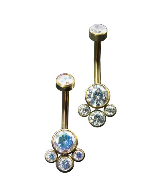 F-136 Titanium Paw Gemstone Cluster Navel Curved Barbell 14G