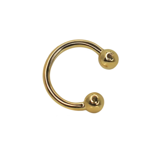 14k Gold Horseshoe